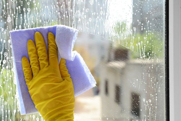 Eco-Friendly Window Cleaning